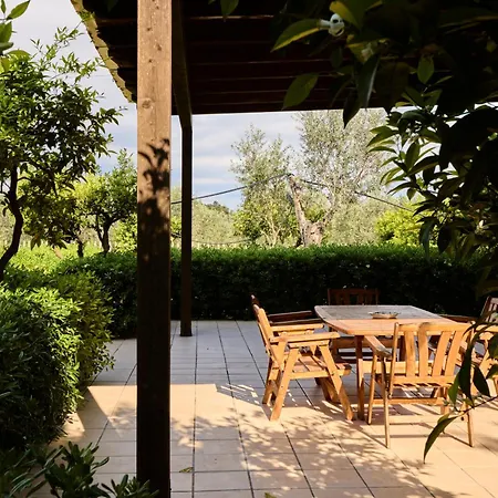 Apartment Degli Ulivi Alezio