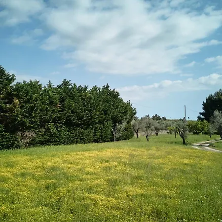 Degli Ulivi Alezio
