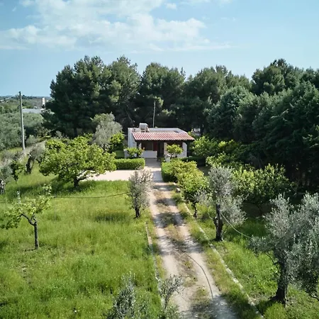 Degli Ulivi