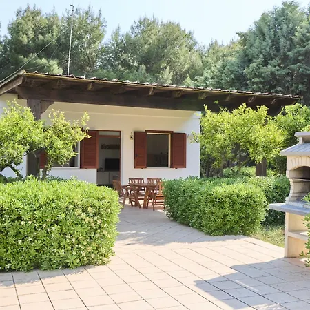 Apartment Degli Ulivi